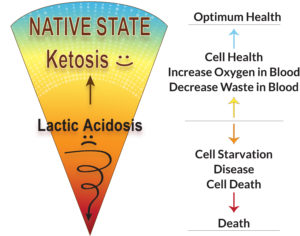 ketosis vs lactic acidosis