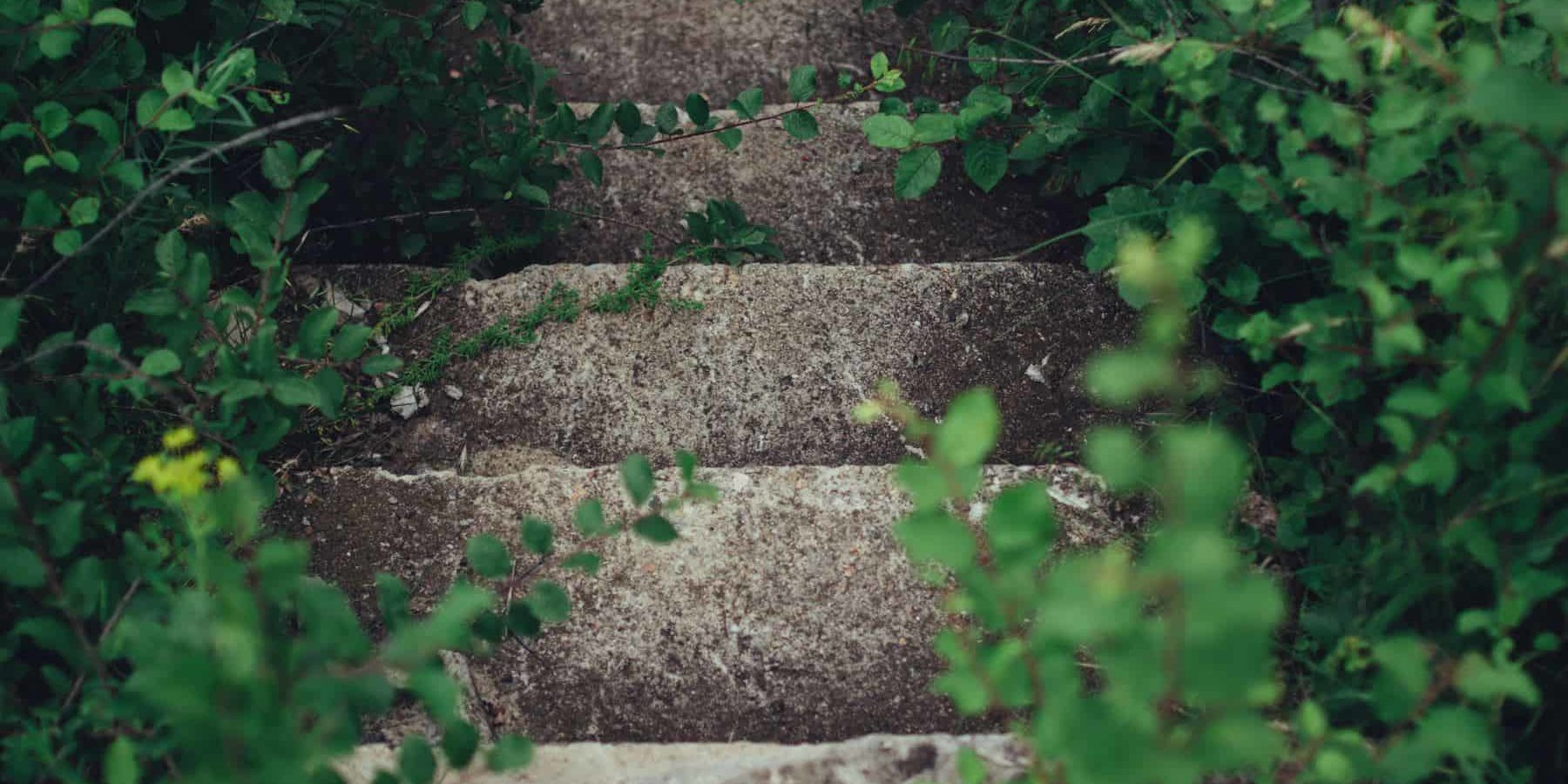 stairs representing life