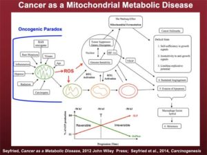 mitochondrial-metabolic-disease-chart