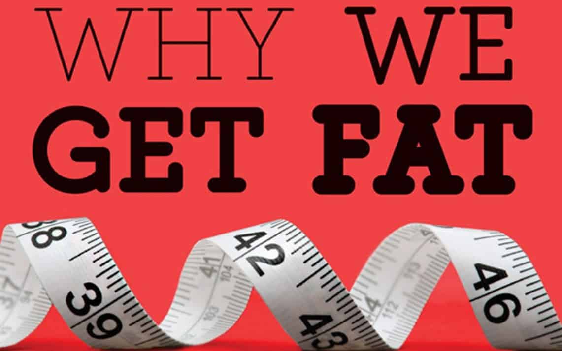 why we get fat book cover