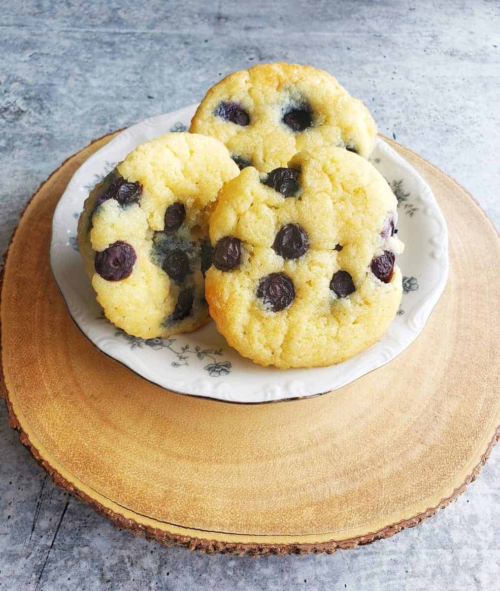 sugar free blueberry muffins good fat company