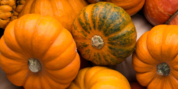 Pumpkin